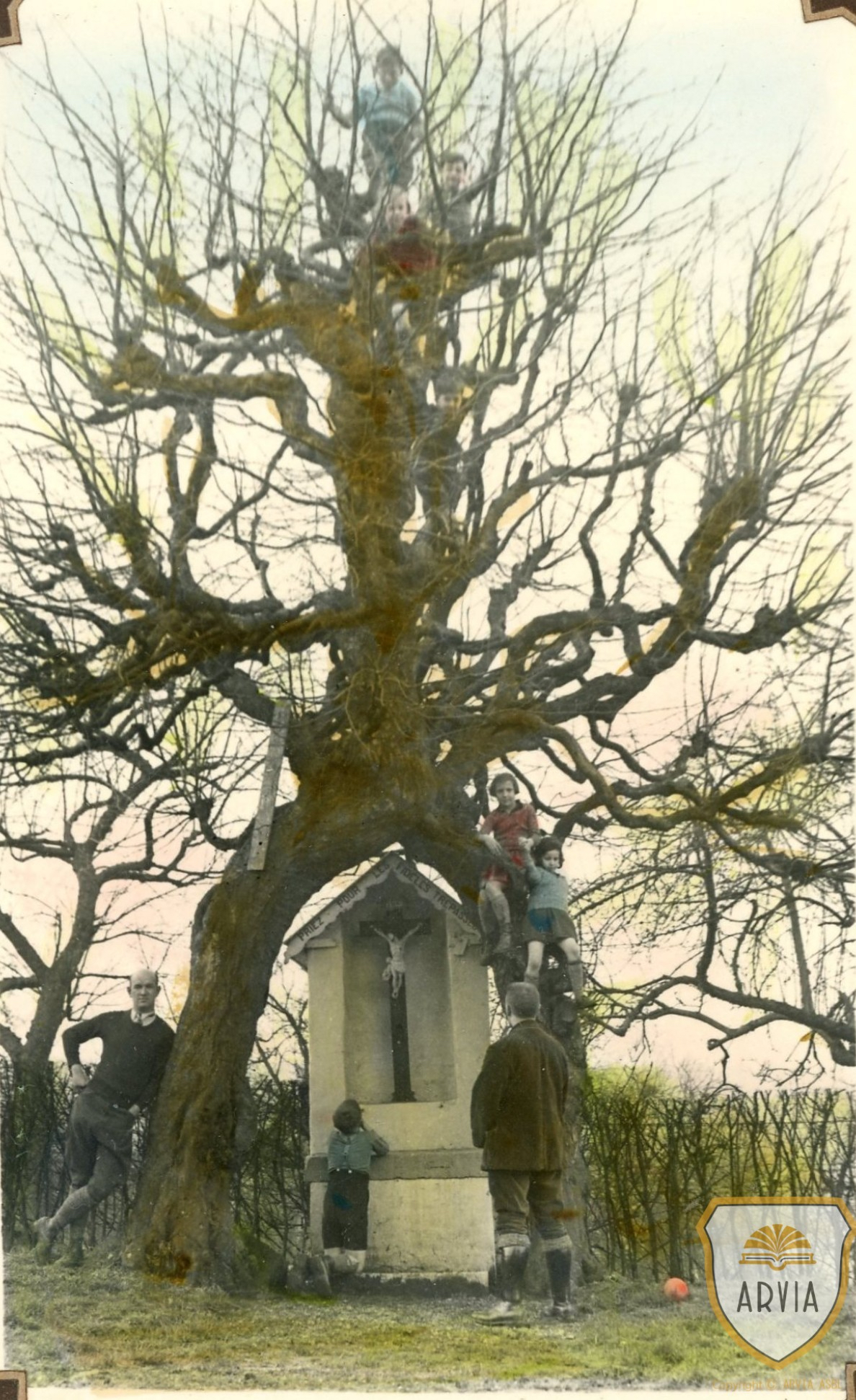 1. De gevlochten haagbeuken met Potale de Sonkeu te Melen rond 1935 Copyright Arvia.be