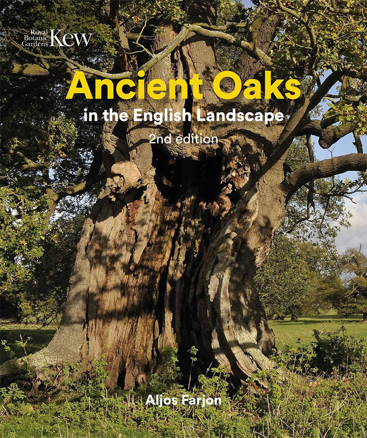ancient oaks