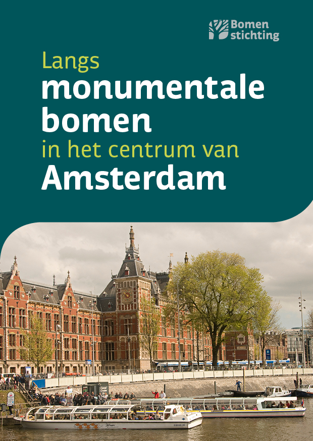 Langs monumentale bomen Amsterdam