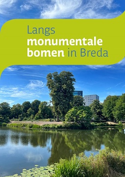 Langs monumentale bomen in Utrecht