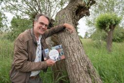 Laanbomen Leersum