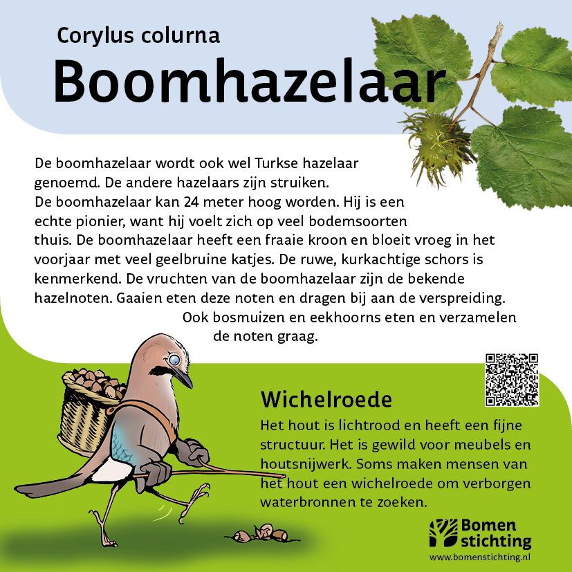 bordje boomhazelaar