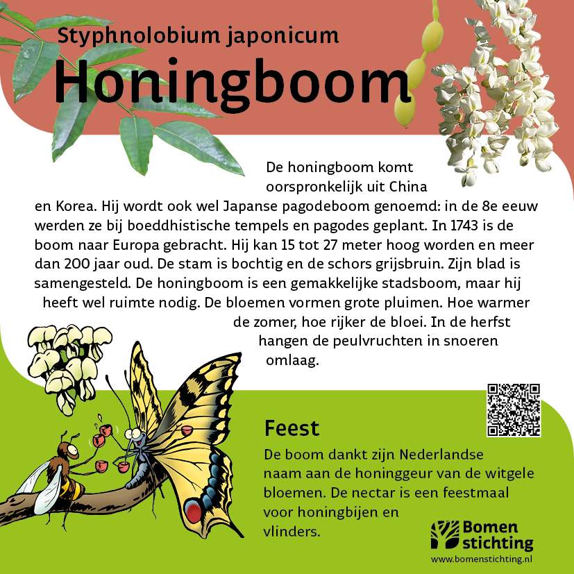 bordje honingboom