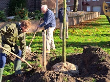 Langs monumentale bomen Amsterdam 255x255