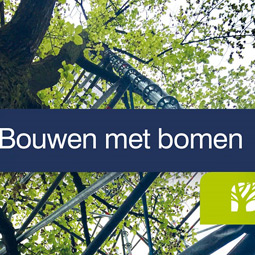 bouwen bomen 255x255