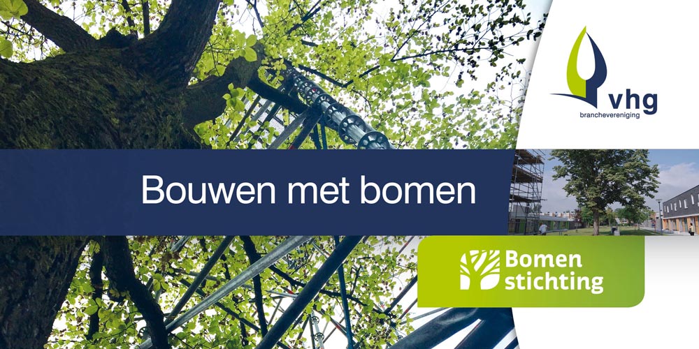 bouwen met bomen