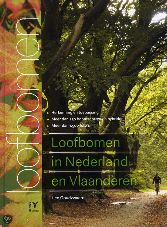 loofbomen in nl
