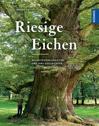 riesige eichen