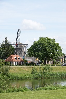 Langs monumentale bomen Amsterdam 255x255