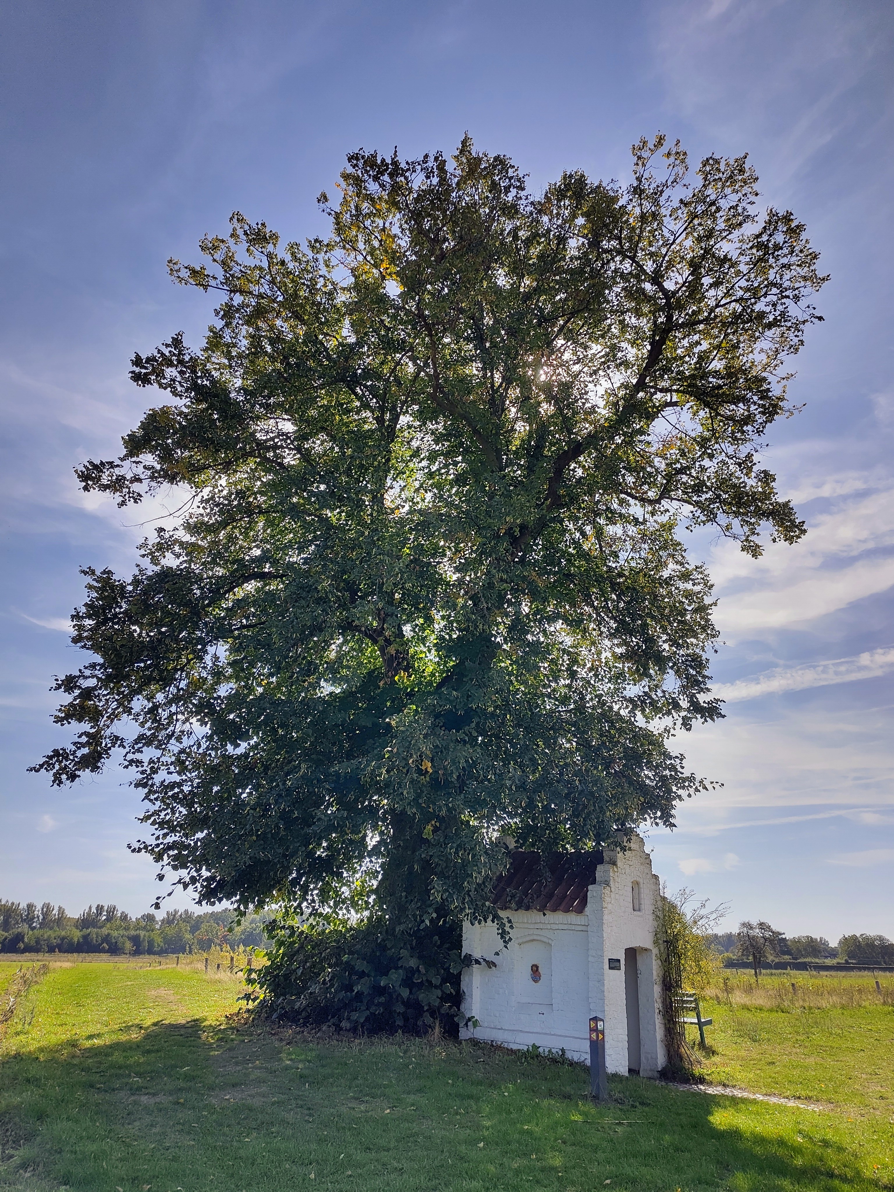 1. De Hemelse combinatie van linde en kapel