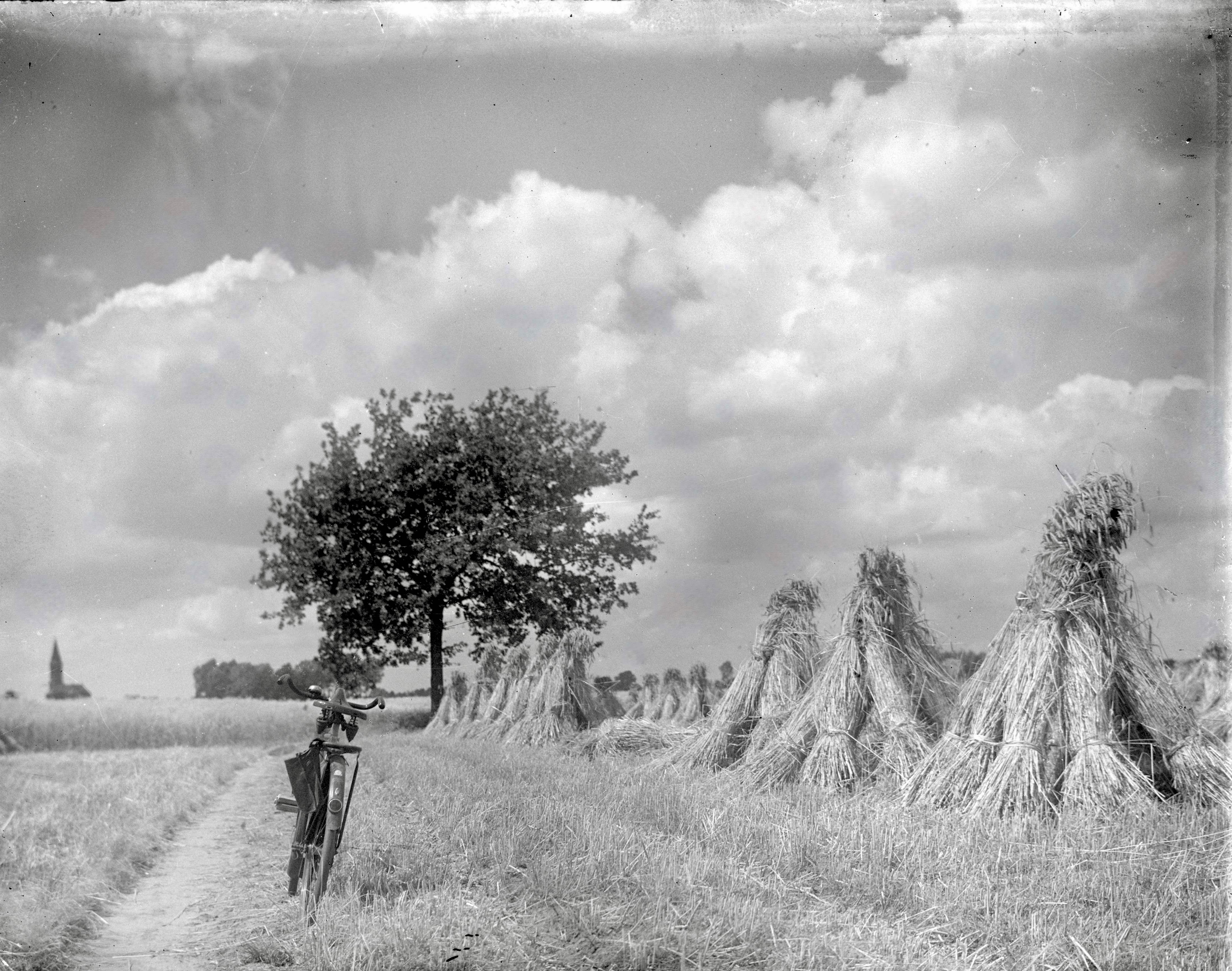 1. Keskesboom in de akkers buiten Nuenen in 1931 foto Jan van Weert lage resolutie