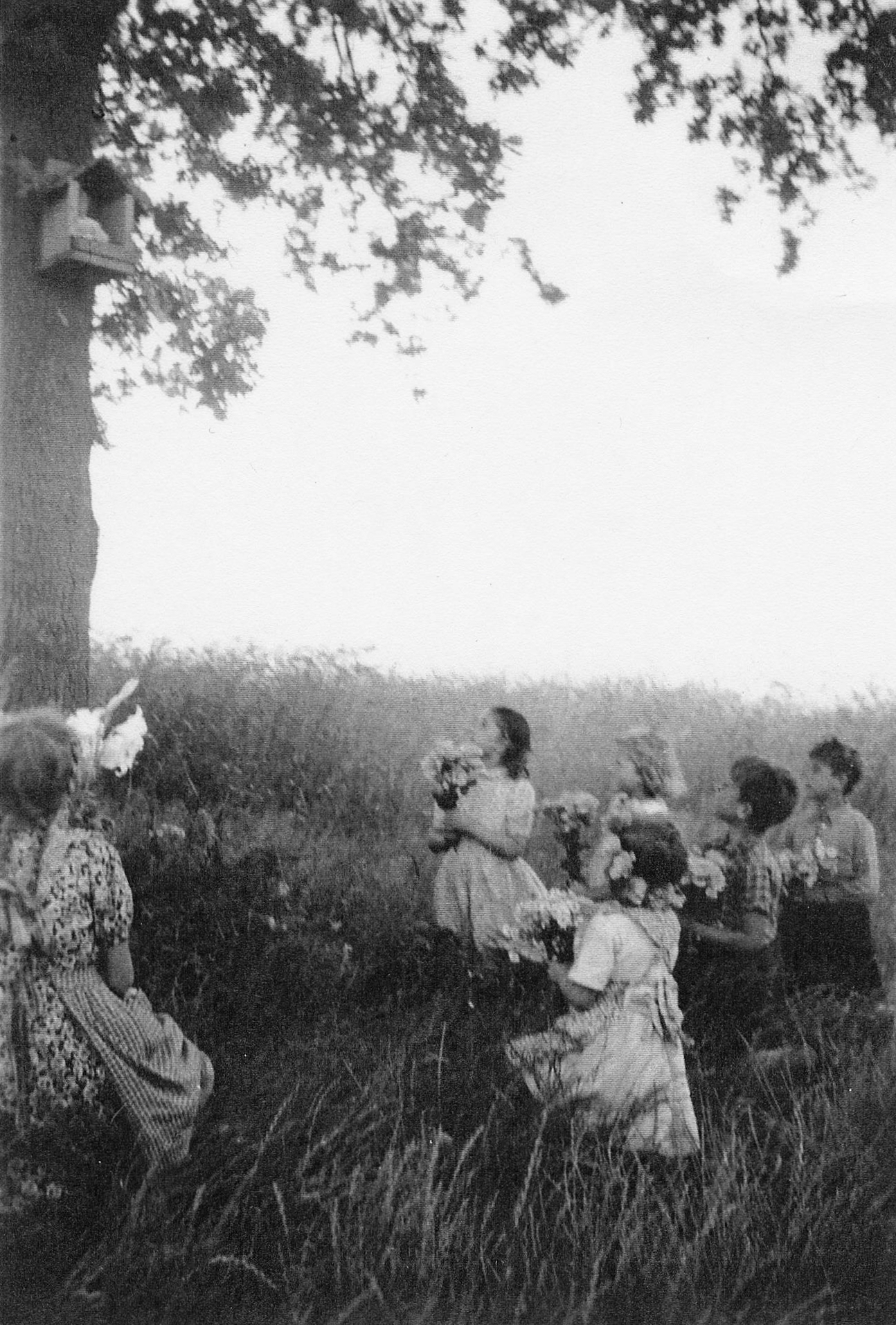 2. Bloemenhulde door de plaatselijk jeugd bij de Keskesboom rond 1950 Erfgoedvereniging Drijehornick
