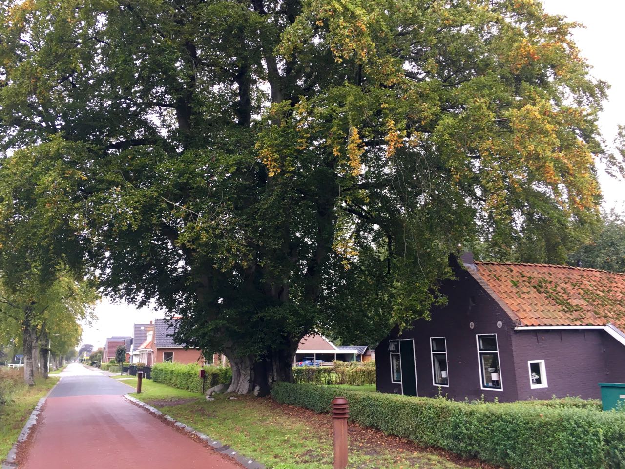 2. De Poppebeam in herfsttooi