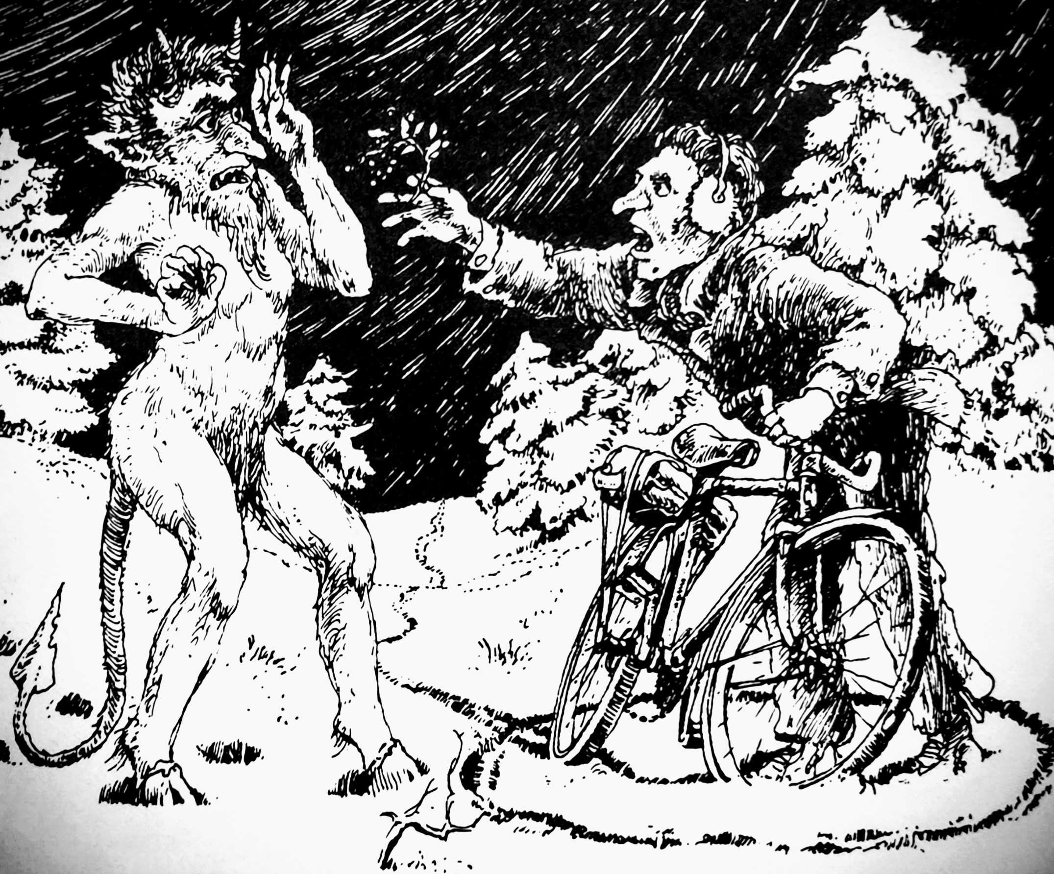 2. Het weren van de duivel met een vlierbloesem Fiel van der Veen