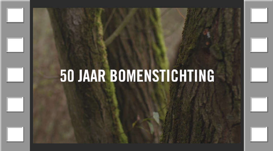 Afbeelding film boomplanten