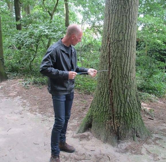 Freerk Oldenburger