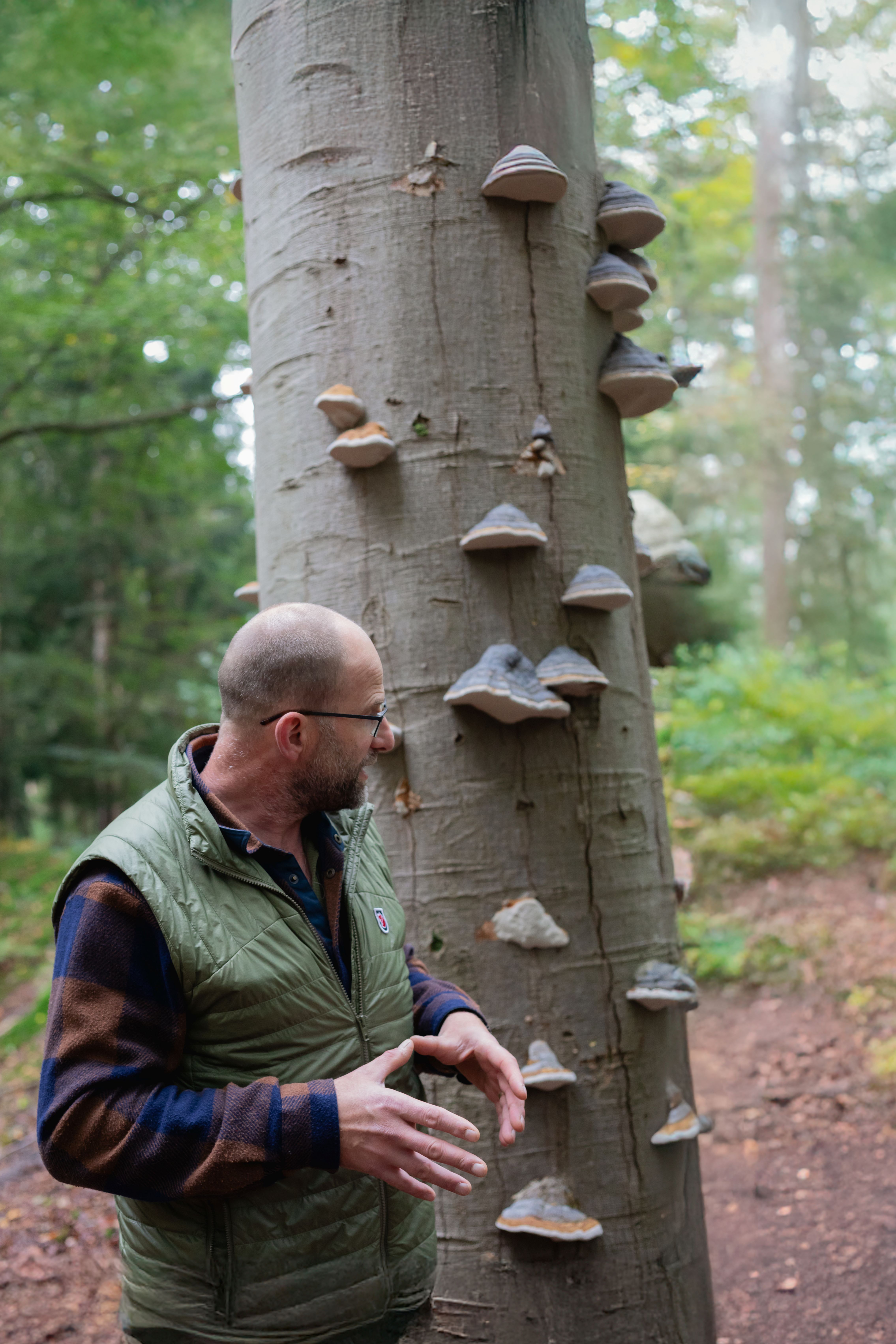 Gerke excursie