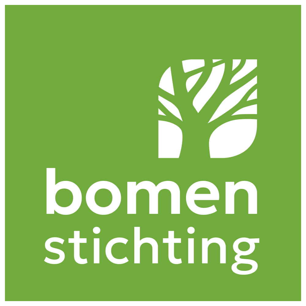 Logo BS