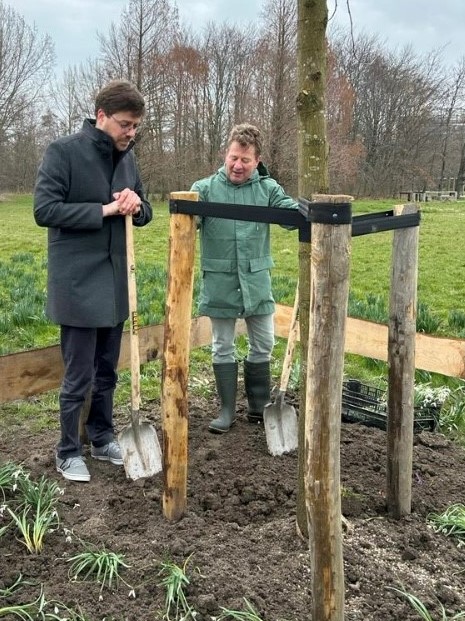 Laanbomen Leersum