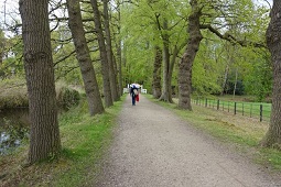 bomenlaan Graveland