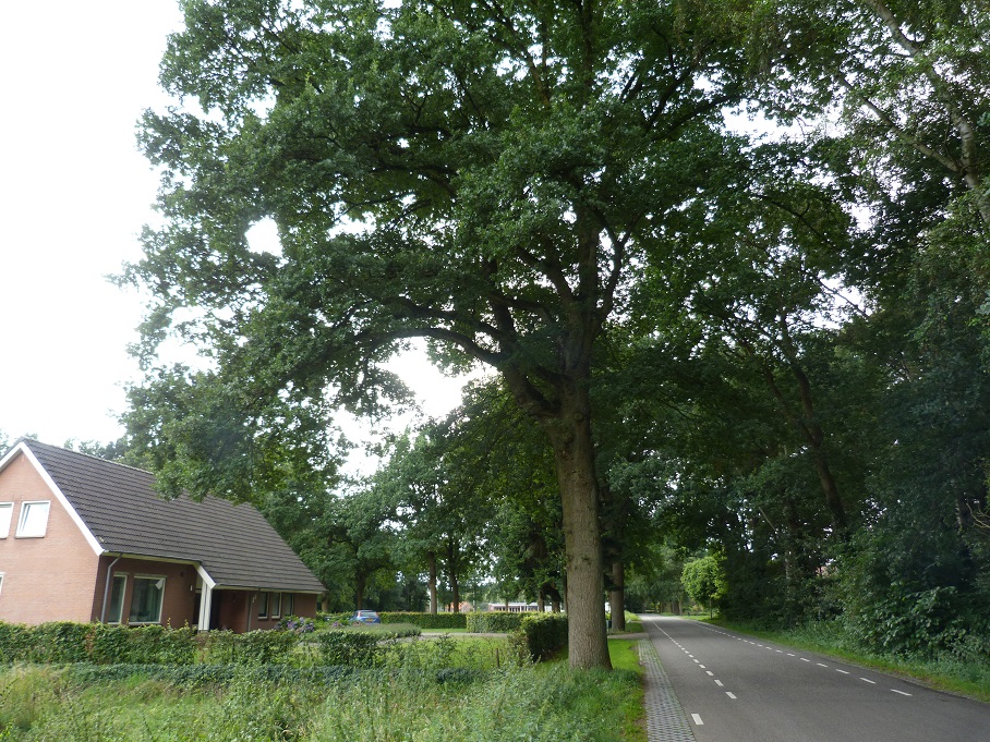 Lage Brugweg