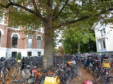 fietsenstatenbolwerk5op071014kl