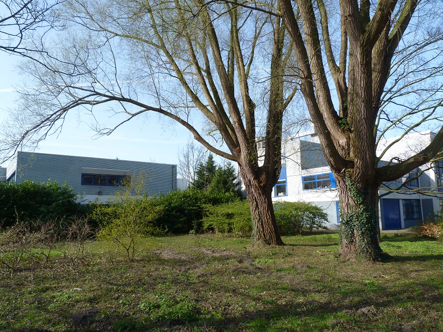 wilgeninplantsoen120415kl